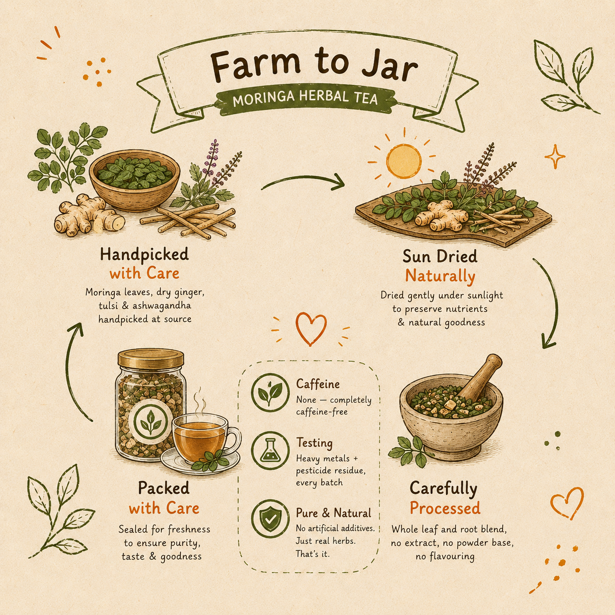 Moringa Herbal Tea